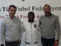 Tamen Forest oldu