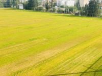 Gönyeli Stadı için işbirliği