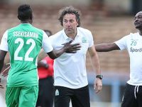 Minci’ye Zimbabwe’den teklif var