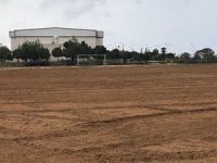 Erenköy ve Dumlupınar yeşerecek