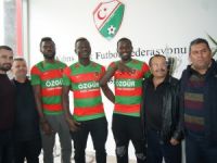 En çok Mormenekşe kiraladı