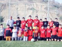 Hamitköy alt yapısına, Tilki takviyesi