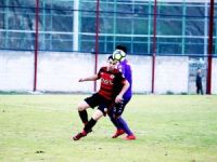 Toykan atıyor, Hamitköy yürüyor