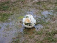 Maçlar tatil edildi