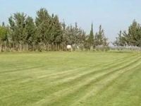 Pile’de revizyon zamanı