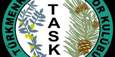 Türkmenköy'de seçim zamanı