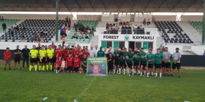 Oktay Mertdin Kupası, Hamitköy’ün