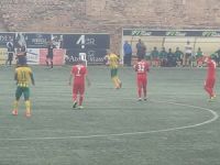 Sahayı sinekler bastı